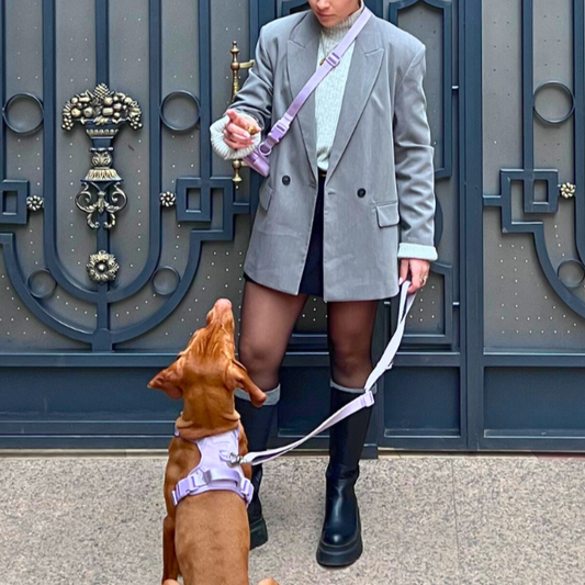 Kit de paseo FreeStyle // BubbleGum Lila