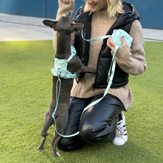 Kit de paseo FreeStyle // BubbleGum Celeste