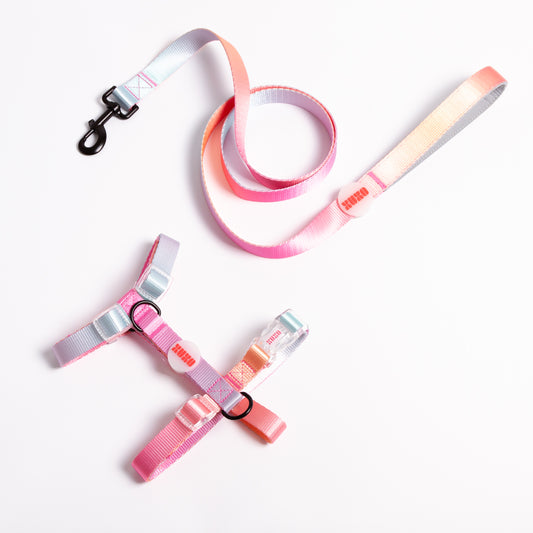 Kit de paseo arnés // SUNRISE