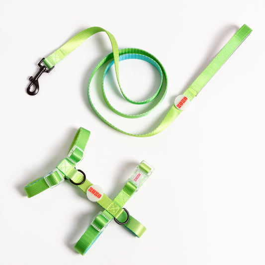 Kit de paseo arnés // TROPICAL