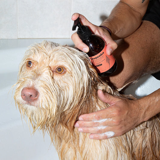 Kit de higiene // Fluffy Felling