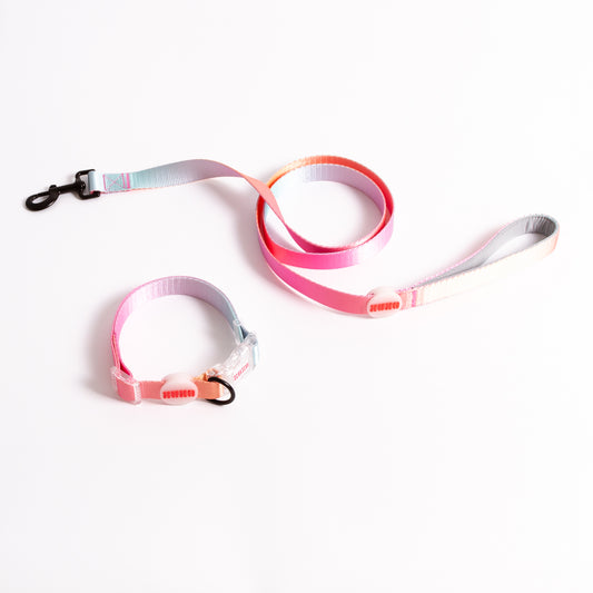 Kit de paseo collar // SUNRISE