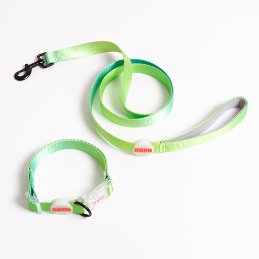Kit de paseo collar // TROPICAL