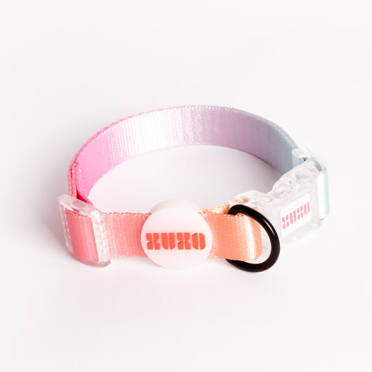 Collar // NEON PARTY SUNRISE
