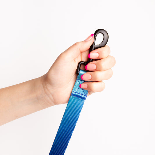 Correa // NEON PARTY MIDNIGHT