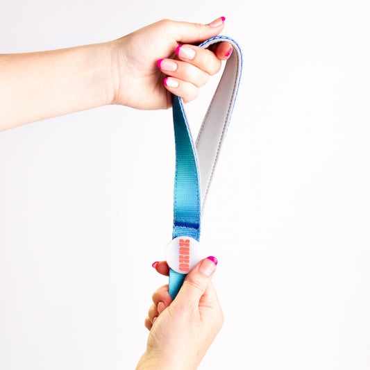 Correa // NEON PARTY MIDNIGHT