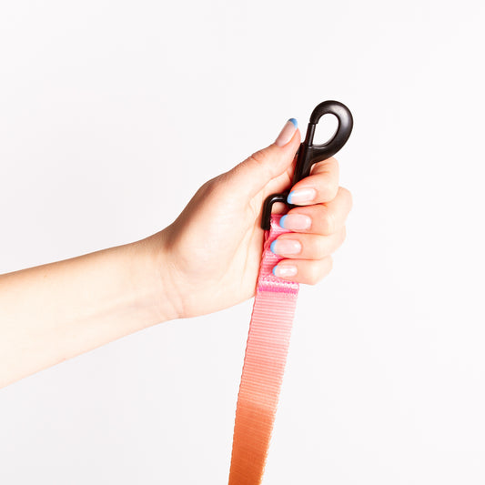 Correa // NEON PARTY SUNRISE