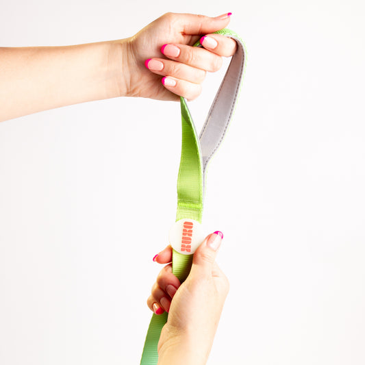 Correa // NEON PARTY TROPICAL