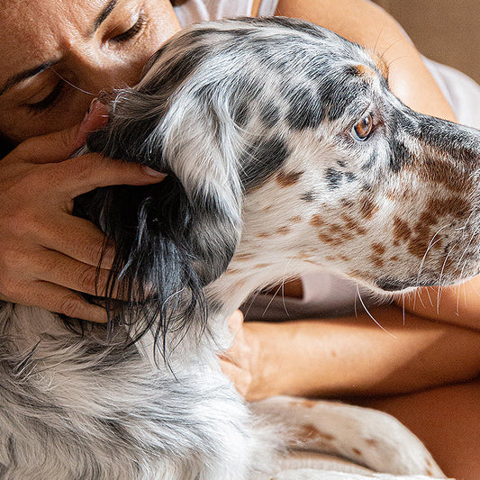 Kit de higiene // Cuddle Bundle