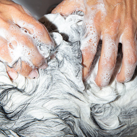 Champú Vegano // Detox