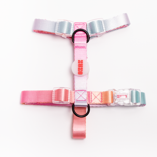 Arnés // NEON PARTY SUNRISE