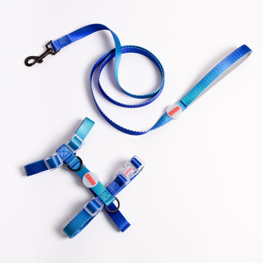 Kit de paseo arnés // MIDNIGHT