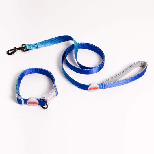 Kit de paseo collar // MIDNIGHT