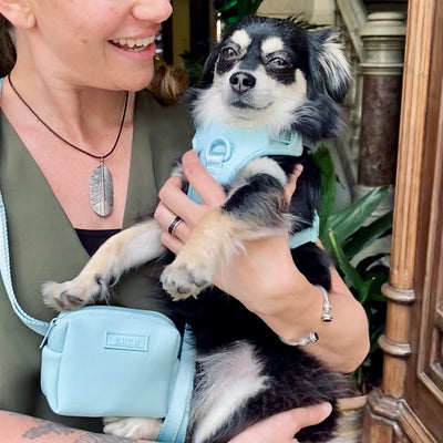 Dog Harness // BubbleGum Light Blue