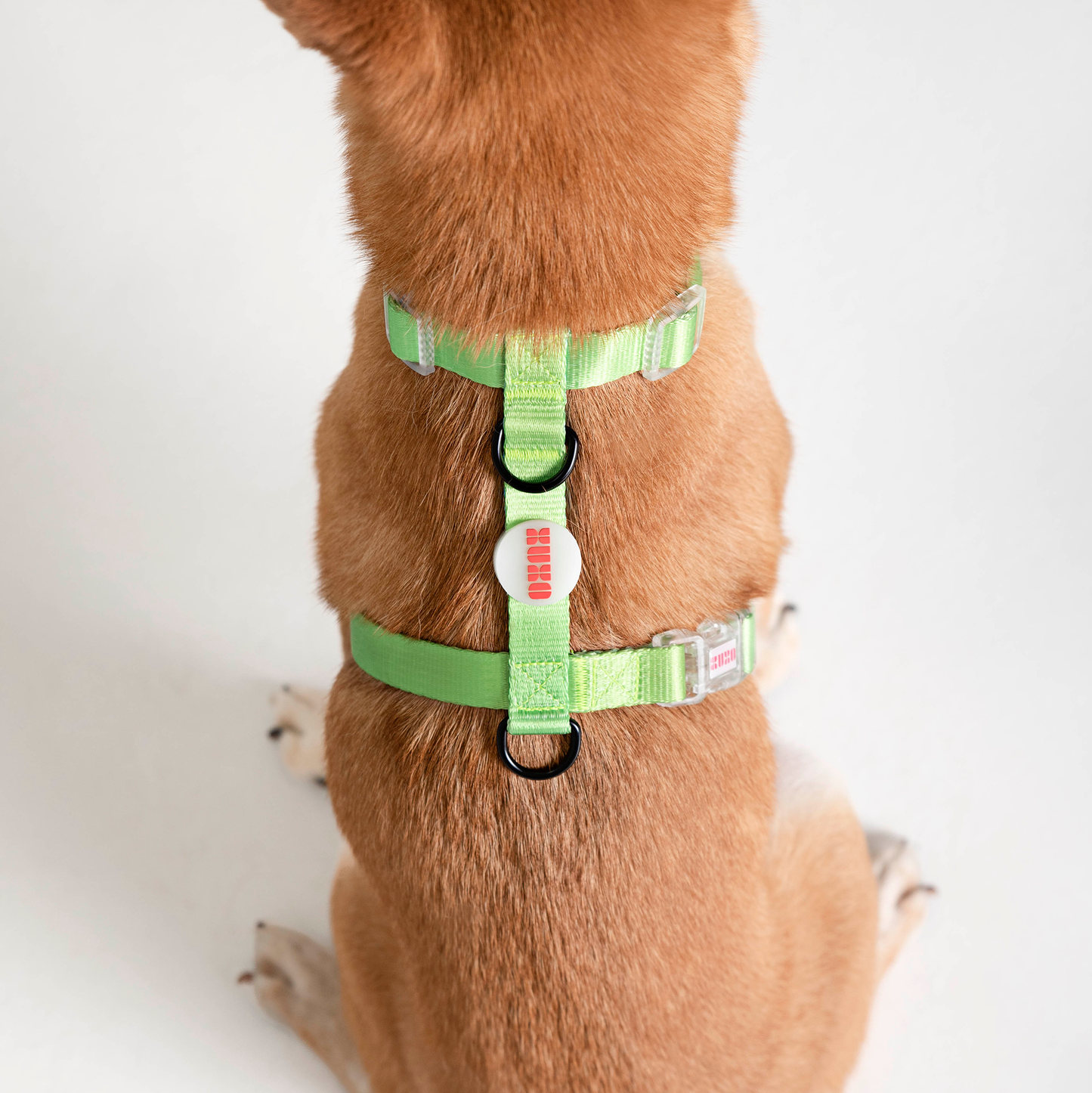 Dog Harness // NEON PARTY TROPICAL
