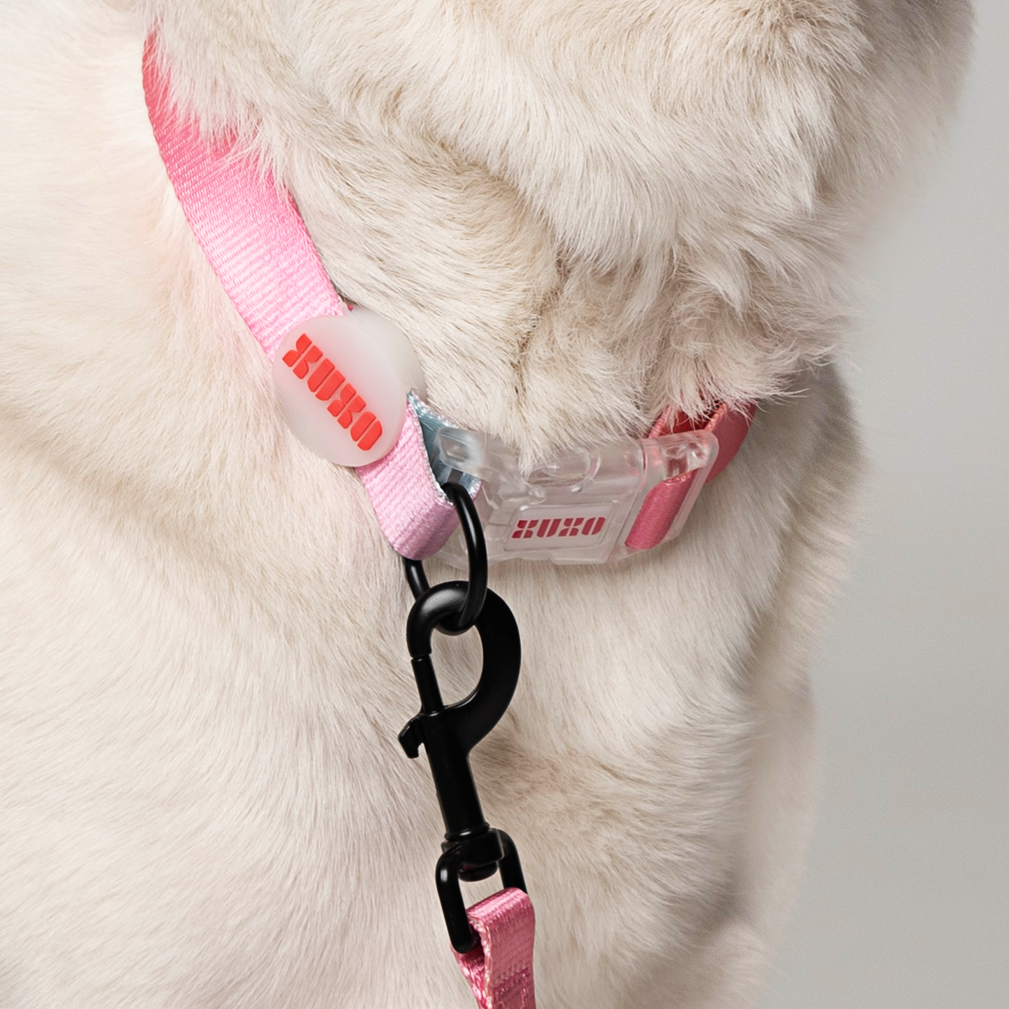 Dog Collar Walk Kit // SUNRISE